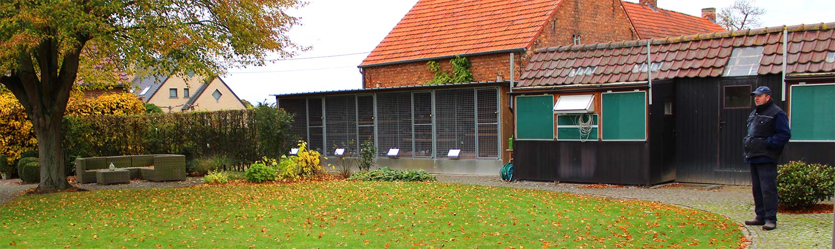 De Belser Johan Article Preparations Breeding Season header