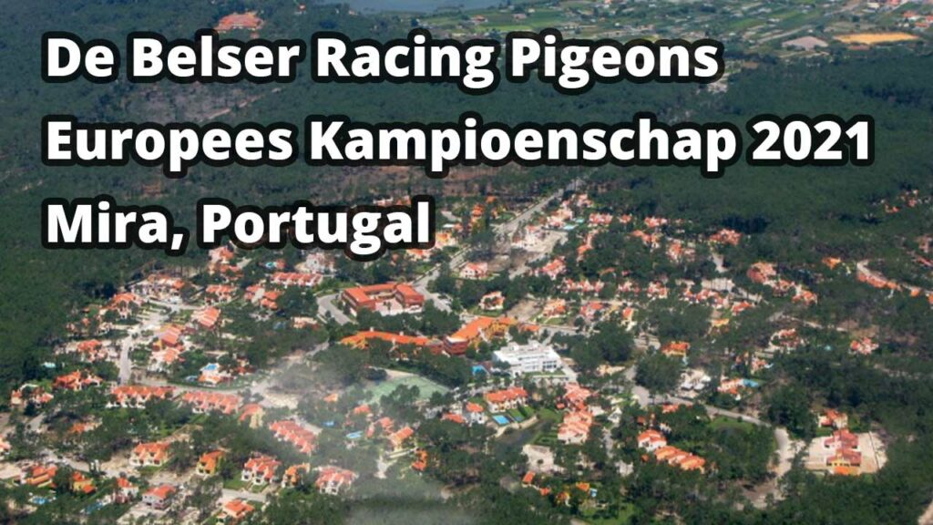 De Belser Racing Pigeons gaat naar Portugal. We kregen van de KBDB een uitnodiging om deel te nemen aan het Europees Kampioenschap 2021.
