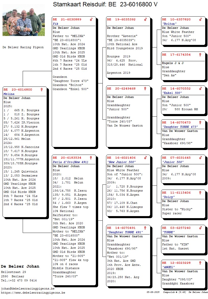 BE 23-6016800 Pedigree