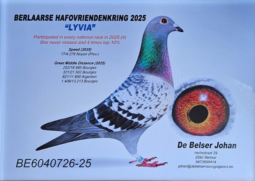 Lyvia, de belser