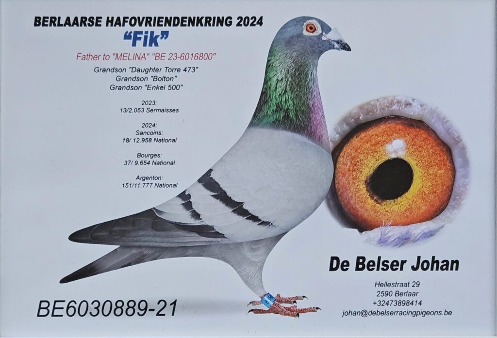 BE 6030889 21 Fik